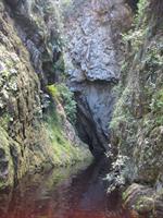 The gorge we swam