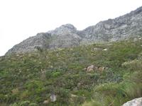 Climbing up table mountain