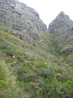 Climbing up table mountain