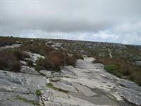 The top of Table Mountain