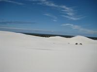 Where we sandboarded (too windy for any more photos)