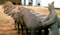 Terracotta horses