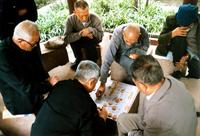 A game of Chinese chess