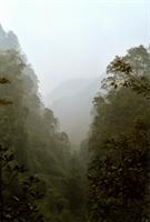 The view from the toilet of the monastry