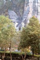 A giant butterfly