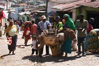 Loading the mule