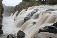 Awash National Park