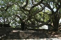 The courtyard where King Andrianampoinimerina (the first king of Madagascar) addressed his people