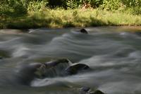 A short stop for lunch