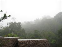 View of the park following a storm
