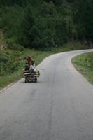 Riding the cart down the hill
