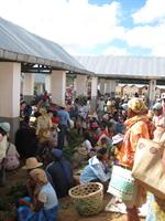 Selling fruit and vegetables