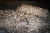 The bark from the plant is left to dry