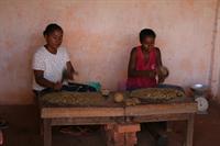 The bark is then bashed to a pulp