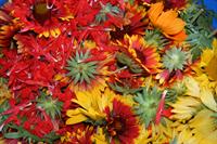 Flowers ready to be used