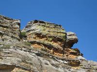 The different colours indicate different oxides