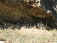 A temporary burial site