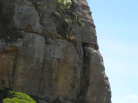 A permanent burial site 