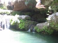 Jumping into the water