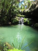 Jumping into the water