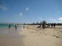 Unloading our stuff from the boat