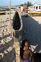 A pirogue being dug out from a single piece of wood