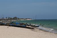 Children playing in the sea