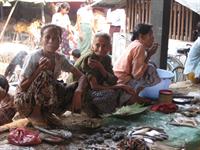 At the fish market in Sittwe