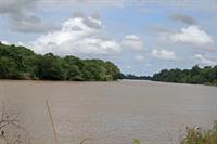 One of the many rivers in the Orinoco Delta