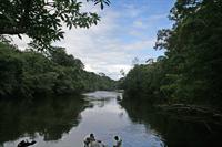 A view up the river