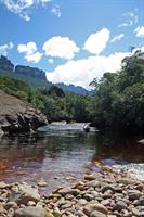 A view up the river