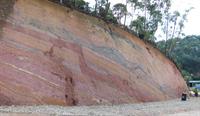 Cross section of the soil