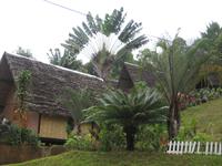 Our accommodation