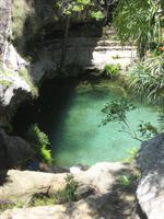 A small oasis