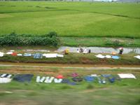 Laundry out to dry