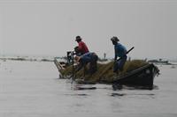 Collecting weeds to make the floating gardens