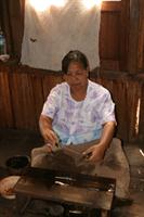 Extractiing the silk fibres from water lily stems