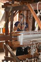 Weaving the silk