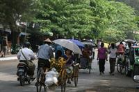 Cycle Trishaws