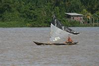 Most boats were motor or paddle driven. A few like this had sails.